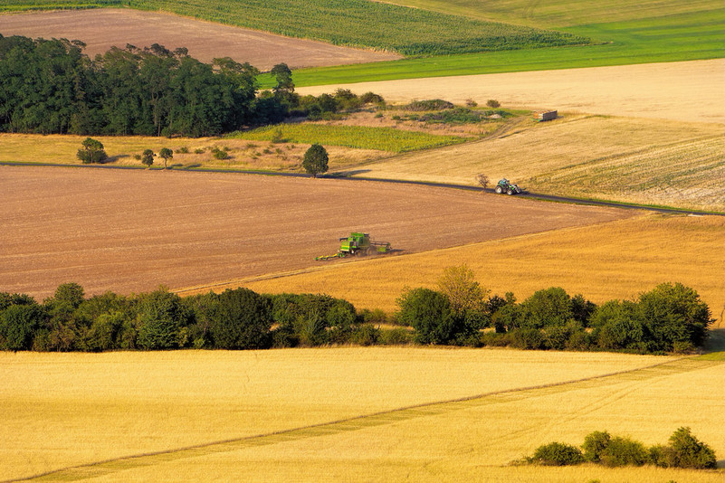 Con la guerra en su apogeo, un impulso para hacer retroceder la agricultura verde